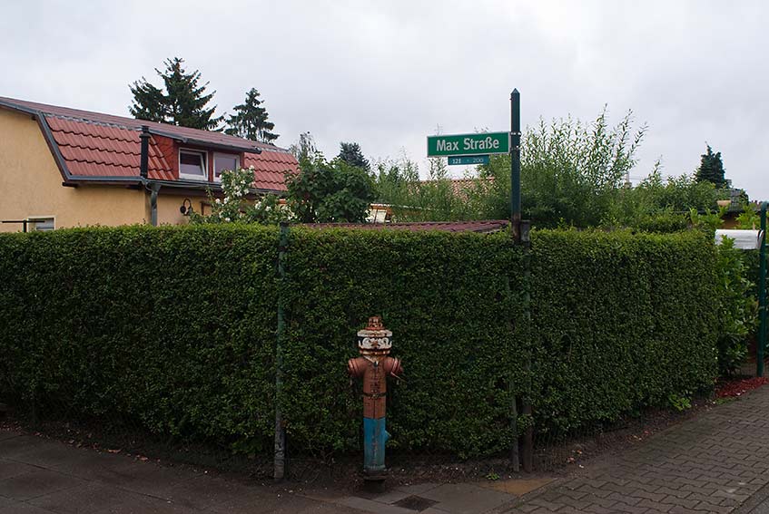 Berliner Schrebergarten 38